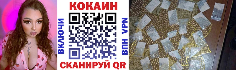 Купить закладки  Ленинск-Кузнецкий  Кокаин Fish Scale 