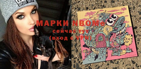 ГАЛЛЮЦИНОГЕННЫЕ ГРИБЫ Горно-Алтайск