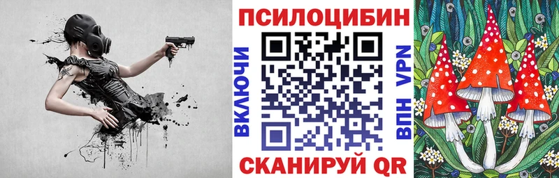 Псилоцибиновые грибы прущие грибы  Купить закладки  Ленинск-Кузнецкий 